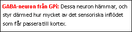 Text Box: GABA-neuron från GPi: Dessa neuron hämmar, och styr därmed hur mycket av det sensoriska inflödet som får passera till kortex.
