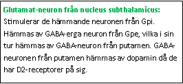 Text Box: Glutamat-neuron från nucleus subthalamicus: Stimulerar de hämmande neuronen från Gpi. Hämmas av GABA-erga neuron från Gpe, vilka i sin tur hämmas av GABA-neuron från putamen. GABA-neuronen från putamen hämmas av dopamin då de har D2-receptorer på sig.
