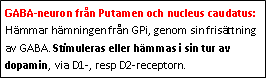 Text Box: GABA-neuron från Putamen och nucleus caudatus: Hämmar hämningen från GPi, genom sin frisättning av GABA. Stimuleras eller hämmas i sin tur av dopamin, via D1-, resp D2-receptorn.
