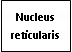 Text Box: Nucleus reticularis
