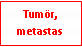 Text Box: Tumör, metastas