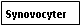 Text Box: Synovocyter