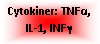 Text Box: Cytokiner: TNFα, IL-1, INFγ