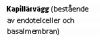 Text Box: Kapillärvägg (bestående av endotelceller och basalmembran)