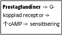 Text Box: Prostaglandiner -> G-kopplad receptor -> ↑cAMP -> sensitisering 