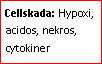 Text Box: Cellskada: Hypoxi, acidos, nekros, cytokiner