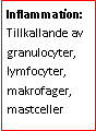 Text Box: Inflammation: Tillkallande av granulocyter, lymfocyter, makrofager, mastceller