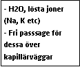 Text Box: - H2O, lösta joner (Na, K etc)
- Fri passsage för dessa över kapillärväggar