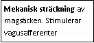 Text Box: Mekanisk sträckning av magsäcken. Stimulerar vagusafferenter